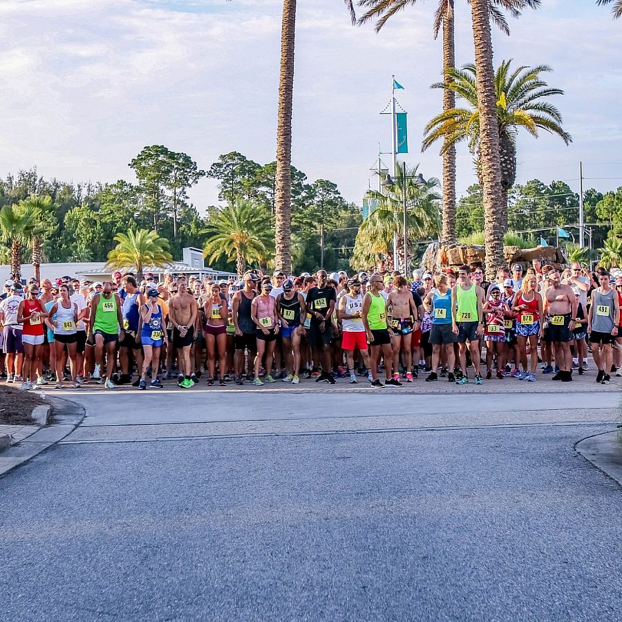 Shark Run 5K