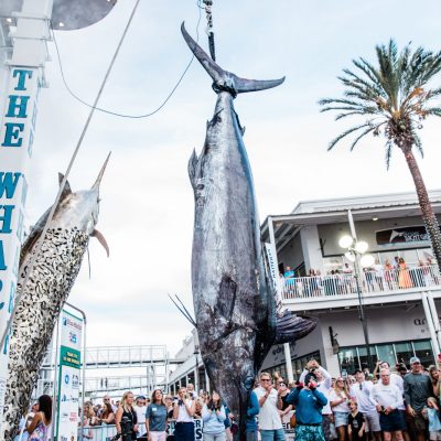 Blue Marlin Grand Championship