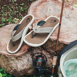 Sand Dollar Lifestyles