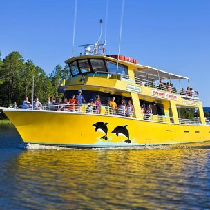 Dolphin and Sunset Cruises