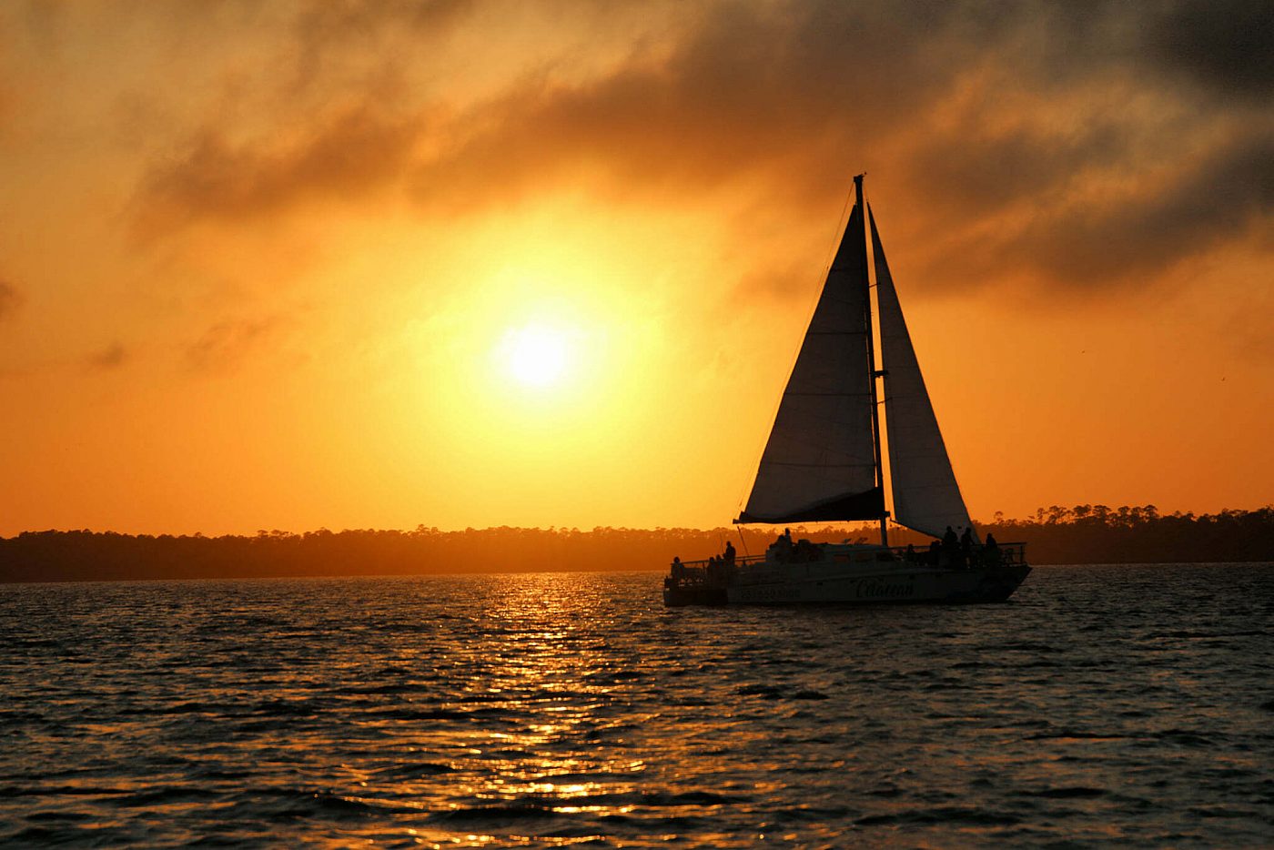 The Wharf Orange Beach Cetacean Cruises Sunset Dolphin Cruise