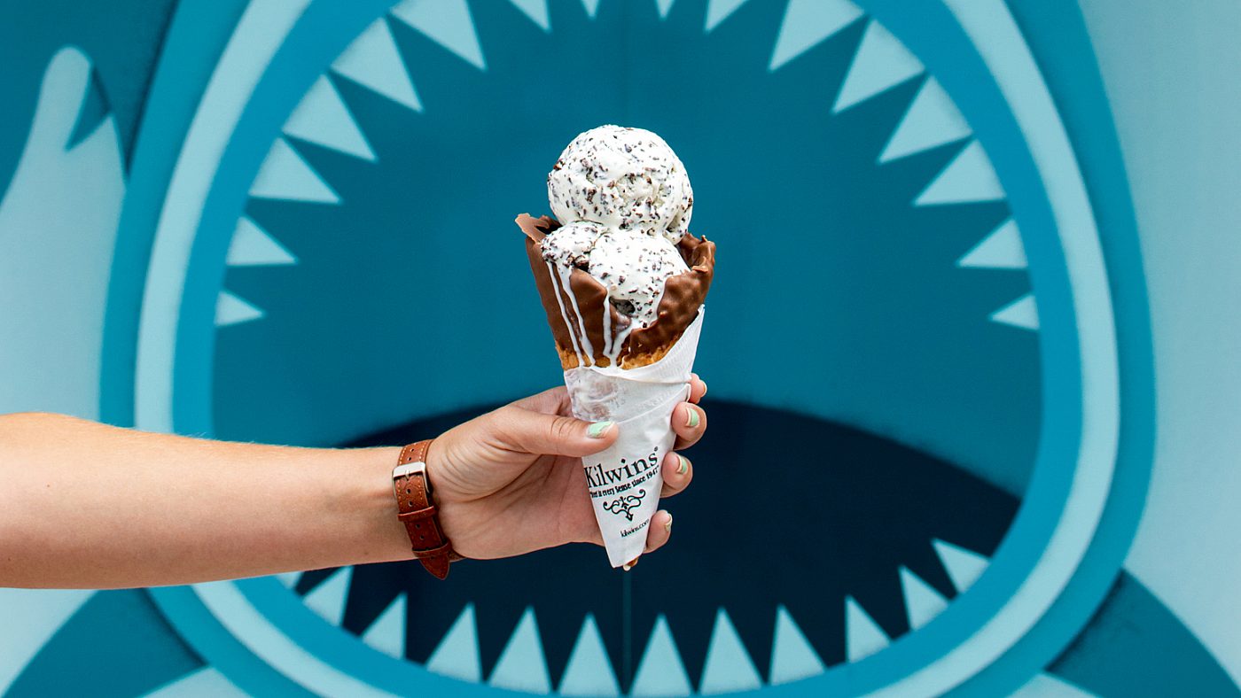Toasted Coconut Ice Cream + Homemade Chocolate Waffle Cone