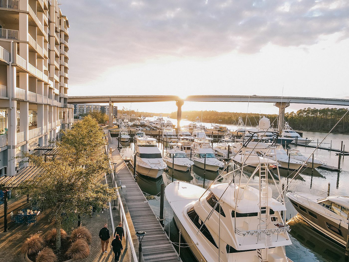 Wharf Condo Rentals